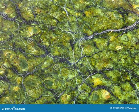 Texture of Polished Natural Serpentinite Rock Stock Image - Image of ...