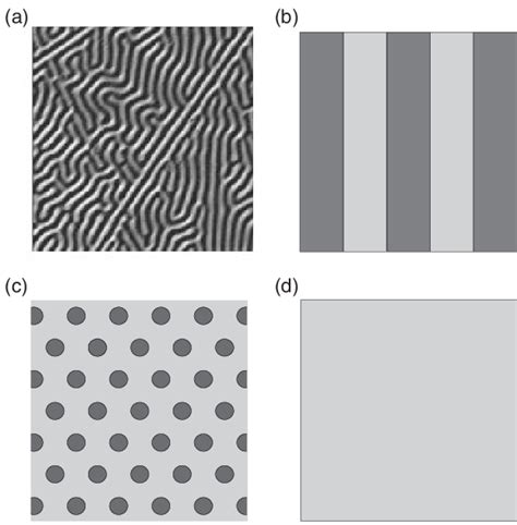 Schematic images of a magnetic film with different kinds of magnetic ...