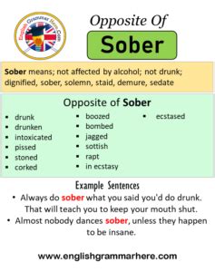 Opposite Of Sober, Antonyms of Sober, Meaning and Example Sentences ...