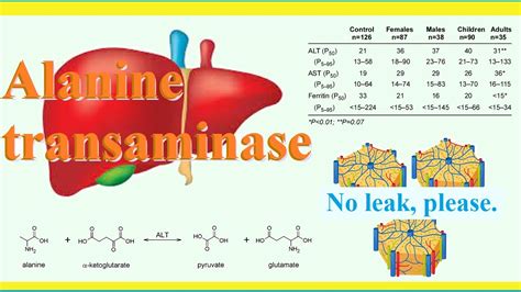 alanine transaminase - YouTube