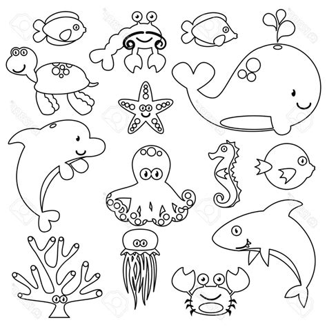 Aquatic Animals Drawing Step By Step - Ocean Animals Drawing Step By ...