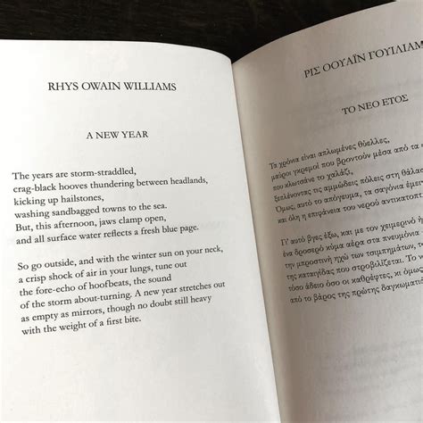 Anthology of Young Welsh Poets - Rhys Owain Williams