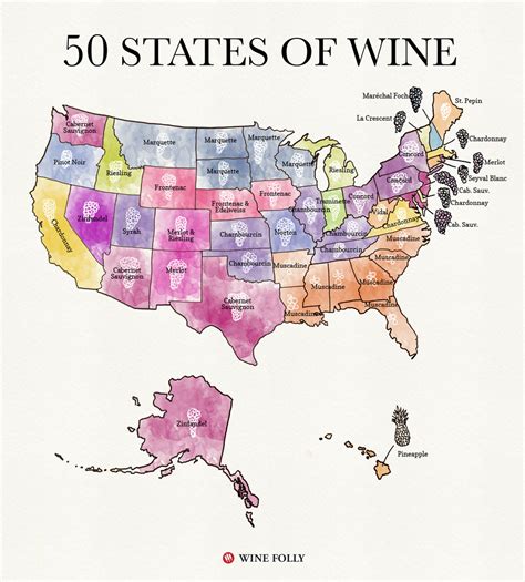 50 States of Wine (Map) | Wine Folly