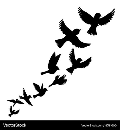 Flying birds silhouettes Royalty Free Vector Image