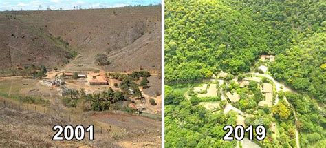 Photographer And His Wife Plant 2 Million Trees In 20 Years To Restore ...