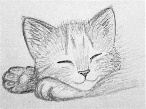 Pin by katie on art! | Pencil drawings of animals, Cat sketch, Kitten ...