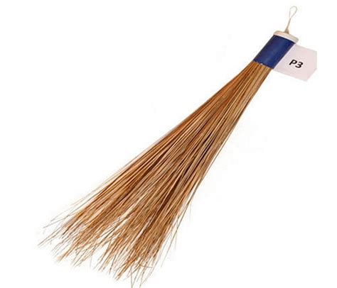 Coconut Broom at Rs 30/piece | Coconut Brooms | ID: 23251670512