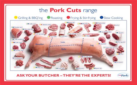 The Pork cuts range Infographic Chart 18"x28" (45cm/70cm) Canvas Print ...