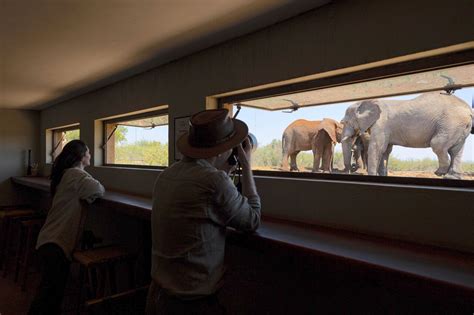 Rhulani Safari Lodge | Activities included in your stay