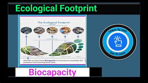 Ecological Footprint vs. Biocapacity | Biocapacity and Ecological ...