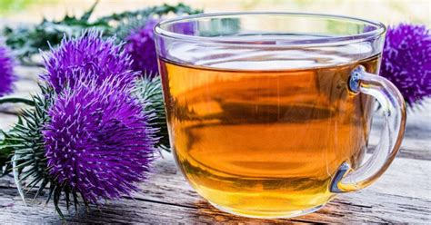 How To Make Milk Thistle Tea (+11 Health Benefits!) - A Radiantly ...