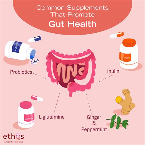 Best Supplements for Gut Health