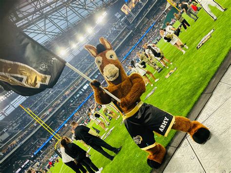 Meet the cadet who serves as West Point’s mascot: ‘BlackJack’ the mule