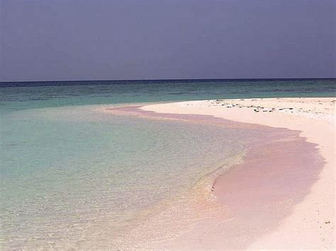 Dahlak Archipelago National Park - All You Need to Know BEFORE You Go ...