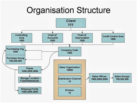 ERP SAP: Organizational Structure in SAP