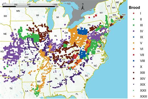 periodical cicada brood map - Entomology Today