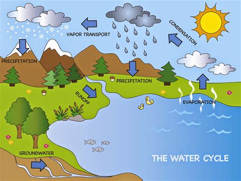 Earth's Water Supply Lesson Plans for Elementary - Adventures of Kids ...