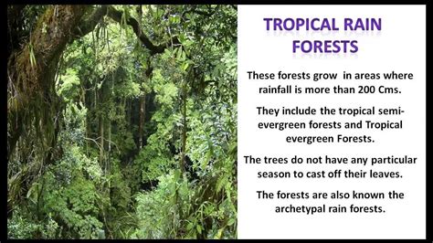 Forest Conservation: Methods Of Forest Conservation In India