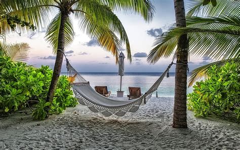 HD wallpaper: Beach Relaxing Corner, palms, sand, ocean, exotic ...