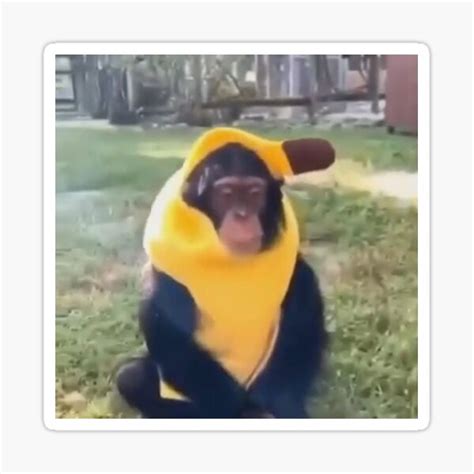 "Monkey In Banana Suit" Sticker for Sale by nickta | Redbubble