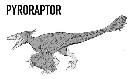 Pyroraptor (Sketch) by matuta2002 on DeviantArt