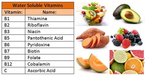 Water Soluble Vitamins- B-Complex and C