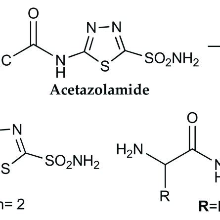 Structure of acetazolamide analogues 3 and 4. | Download Scientific Diagram