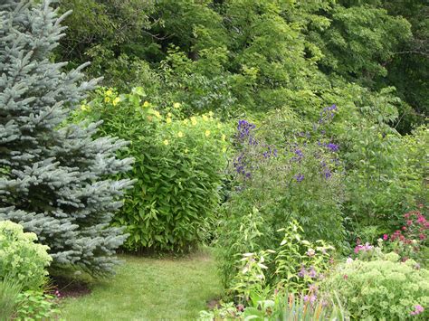 Scenes from a Maine garden tour - FineGardening