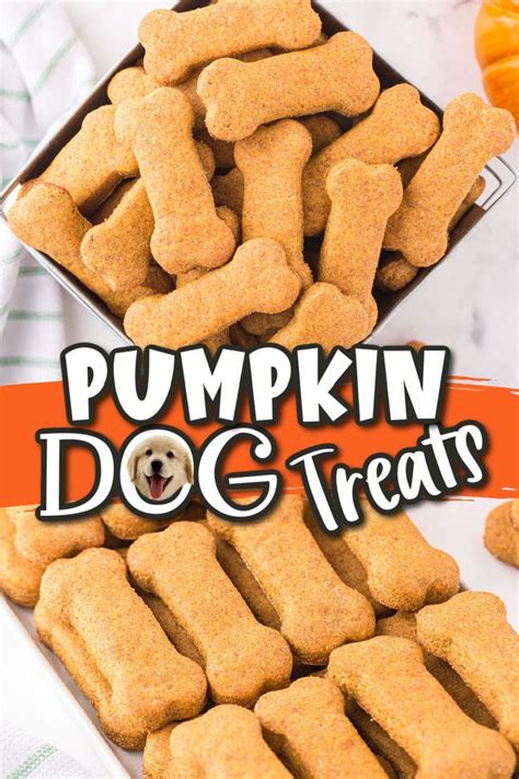 It is so easy to make these tasty Pumpkin Dog Treats using only healthy ...