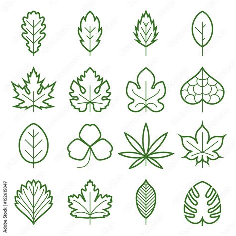 Leaf icons. Collection of green linear symbols of leaves, such as maple ...