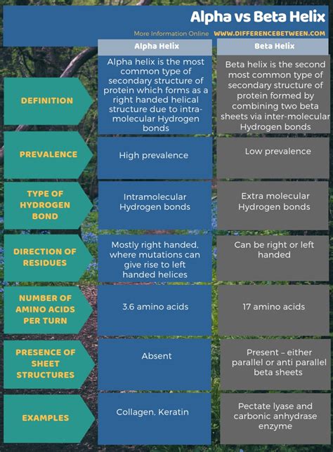Difference Between Alpha and Beta Helix | Compare the Difference ...