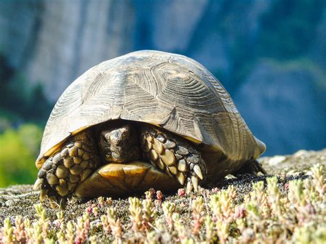 Exploring the hiking paths of Meteora | Discover Greece