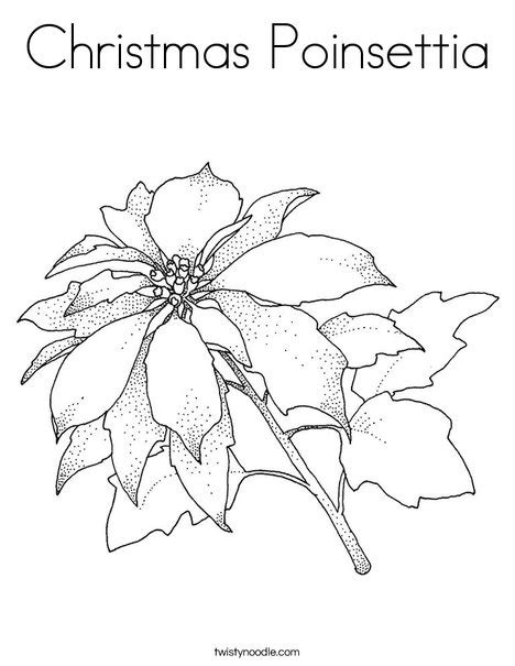 Christmas Poinsettia Coloring Page - Twisty Noodle