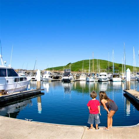 Coffs Harbour Holiday Park Map - Reflections Holiday Park