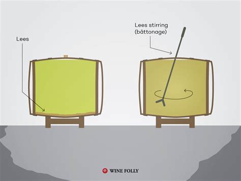 What Are Wine Lees? (Sur Lie Explained) | Wine Folly