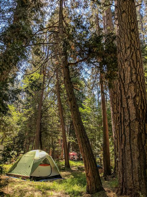 My camping setup for living for three months in a tent in Yosemite ...