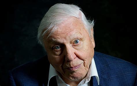 David Attenborough: A Life On Our Planet is his "witness statement" film