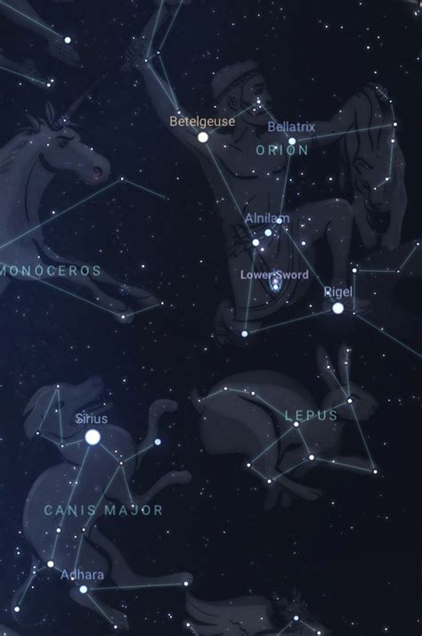 Sirius | The Brightest Star in the Sky | Pictures, Facts, and Location