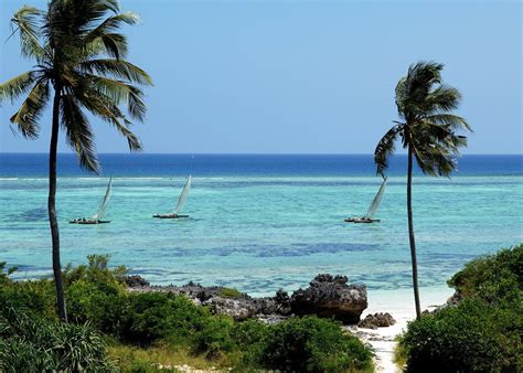 Gorilla tracking & Zanzibar adventure | Audley Travel