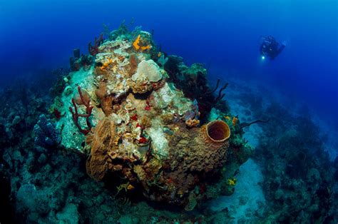 Reef Photograph by Romano Molinari - Fine Art America