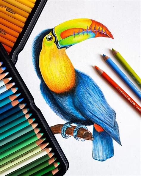 Color and Fun Animal Pencil Drawings | Pencil drawings of animals ...