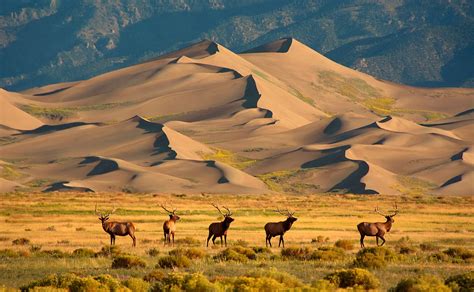 Mysteries of Star Dunes: Experts Uncover Age and Formation Secrets in ...