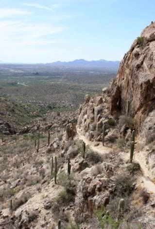 Catalina State Park - Go Wandering