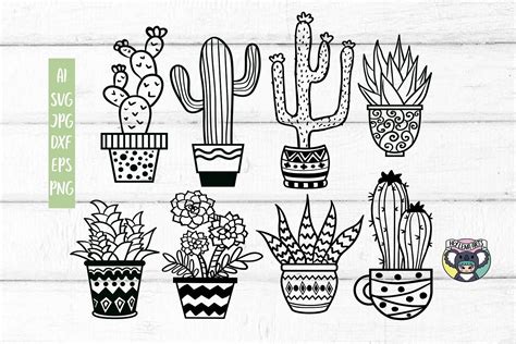 Cactus Svg Succulent Svg Files For Cricut Cut File Dxf | The Best Porn ...