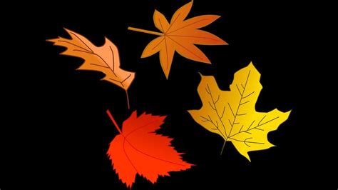 Animation Tutorial - Falling Leaves - YouTube