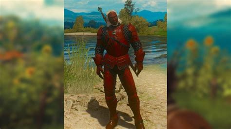 The Witcher 3 best armor