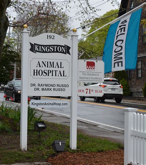 Kingston Animal Hospital | Kingston MA Pet Hospital