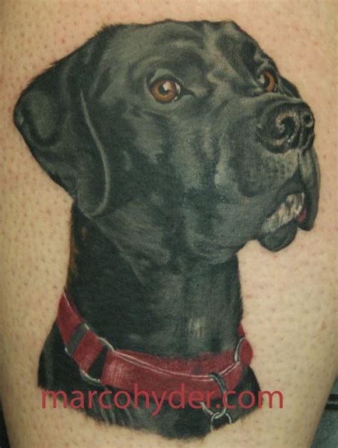 Black dog color portrait by Marco Hyder: TattooNOW