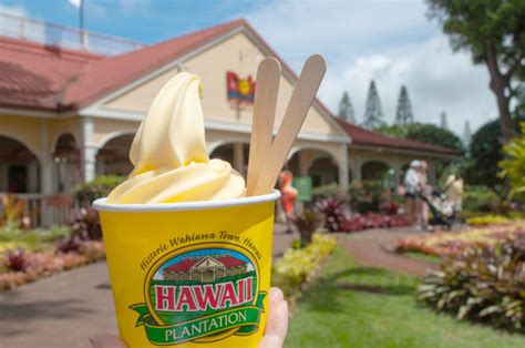 Where is Dole Plantation? Oahu Island in Hawaii - And You Creations ...