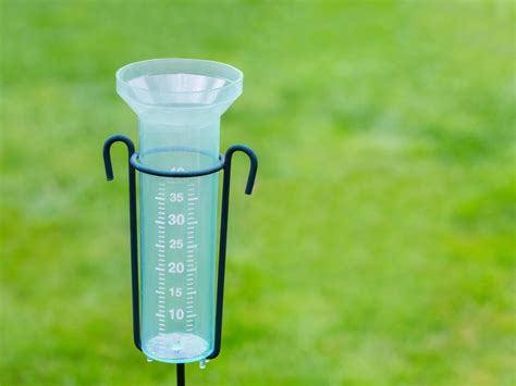 Rain Gauges For Home Use - How A Rain Gauge Can Be Used In The Garden